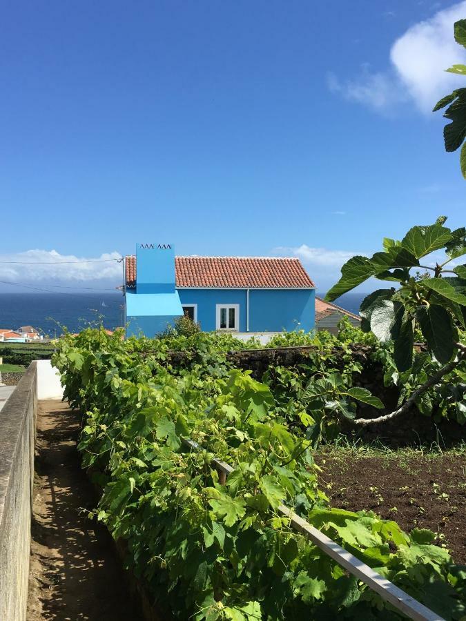 Вилла Casa Do Vizinho Porto Judeu Экстерьер фото